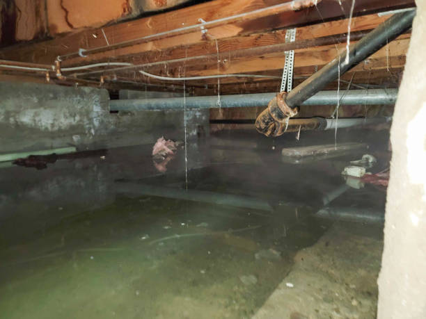 Best Ceiling water damage repair  in Bradford Woods, PA