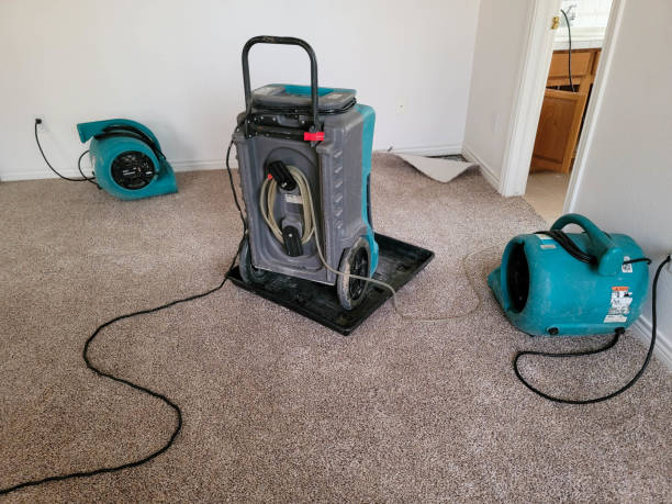 Best Commercial water damage restoration  in Bradford Woods, PA