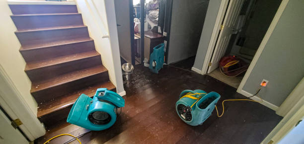Best Flood restoration services  in Bradford Woods, PA