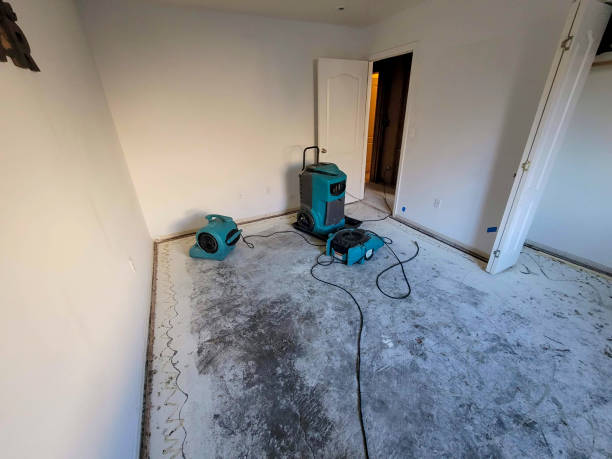 Best Mold removal after water damage  in Bradford Woods, PA