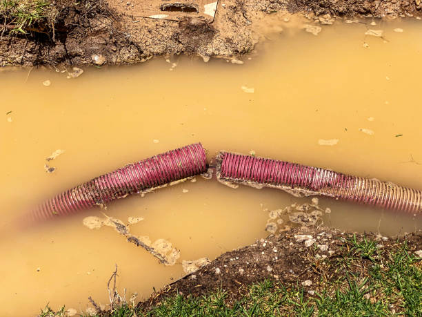 Best Mold removal after water damage  in Bradford Woods, PA